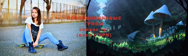 стафф Алексин