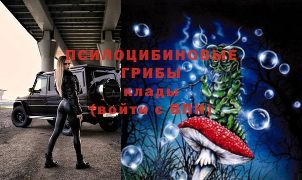 хмурый Переславль-Залесский