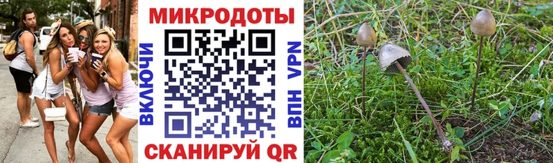 Псилоцибиновые грибы мицелий  МЕГА зеркало  Звенигово 