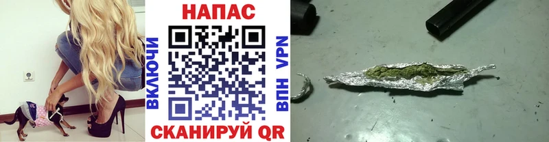 Шишки марихуана семена  Звенигово 